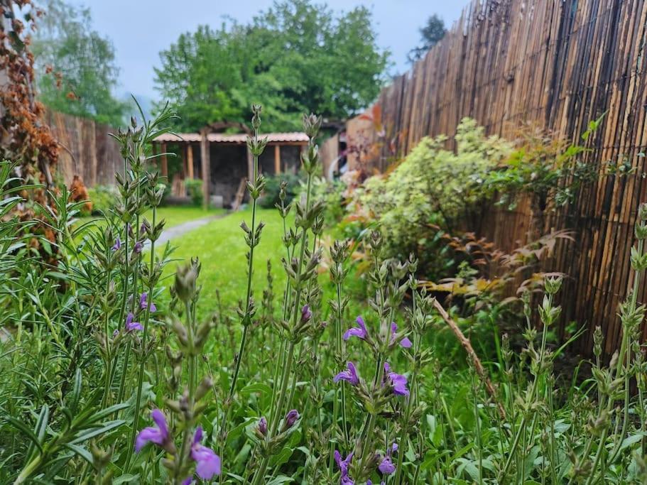 Marmoza - Maison Plein Coeur De Village Saint-Geniez-dʼOlt 外观 照片